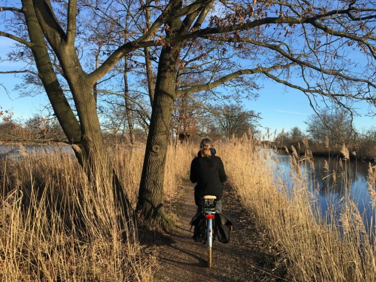 Een smal wandel en fietspad met aan beide kanten riet en de Ankeveense plassen. Op het pad een fietser van achter die net een mooie stevige boom passeert. De zon schijnt, het water is als een spiegel en weerspiegeld de blauwe lucht.
