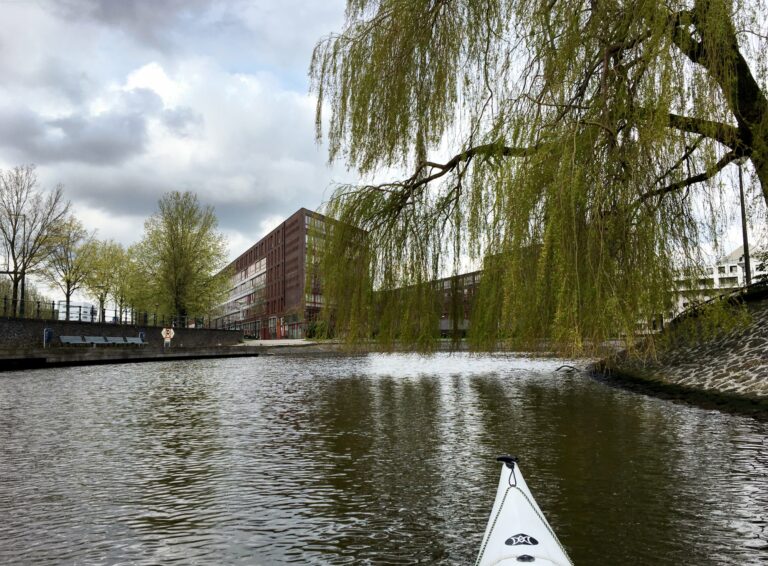 Vanaf het water met rechts de kade met een net in bald staande treurwilg die over het water hangt en daarachter twee rode flatgebouwen.