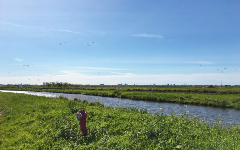 panorama van wielanden met op de achtergrond de skyline van Amsterdam en vliegende ganzen. Op de voorgrond een stukje gras, een rode brandkraan en een sloot die de blauwe lucht weerkaatst.