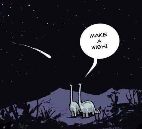 Twee dino's die een vallende ster zien en de ene zegt "make a wish!".