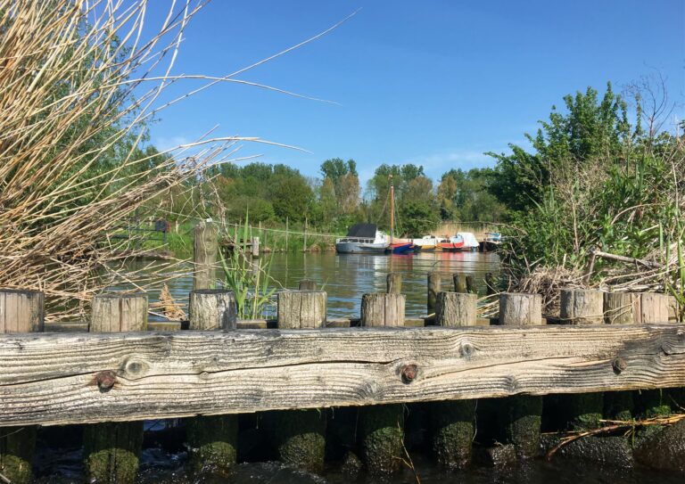 Bootjes en bomen op de achtergrond. Op de voorgrond een balk met palen om de golfslag op te vangen.