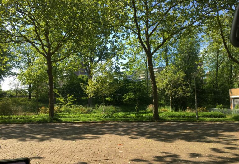 Sta op een behoorlijk lege parkeerplaats met uitzicht op bomen, klein en groot. Op de stenen zie je de schaduw van de bomen. Achter de bomen een blauwe lucht en als je goed kijkt zie je flatgebouwen
