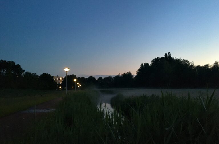 Mist opgesloten in de weilanden door de sloot en het riet. Het probeert eroverheen te komen.