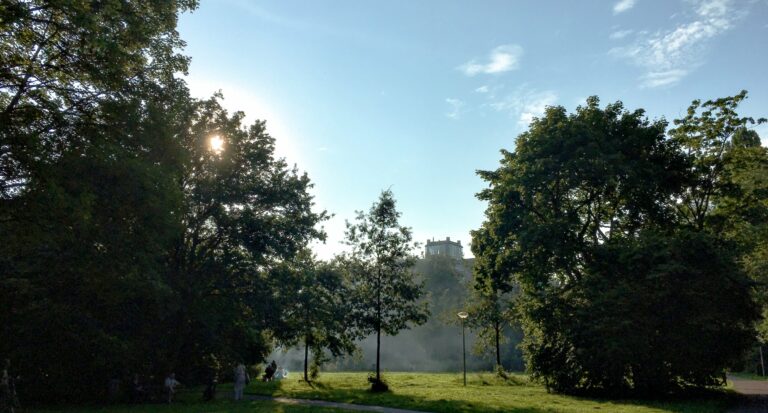 Een grasveld met daar omheen grote bomen. Rook wordt door de zon verlicht. Daarachter de silhouetten van gebouwen. Bij een mooie blauwe lucht.