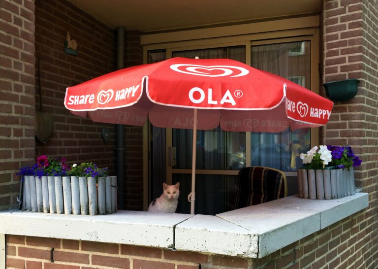 Poes op een balkonetje onder een Ola parasol.