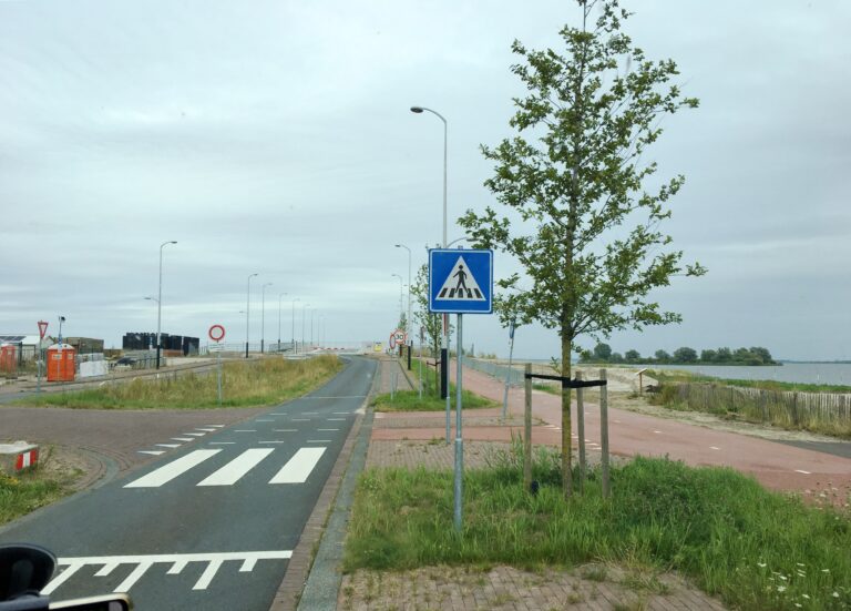 Het einde van een eiland en aan de horizon een klein eilandje bomen in het IJmeer. De weg waar ik langs sta gaat nog nergens heen. Langs de weg staan jonge aangeplante bomen.