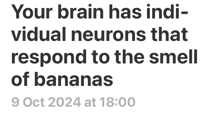 Your brain has individual neurons that respond to the smell of bananas
