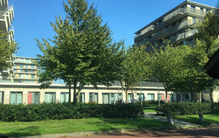 foto van mijn uitzicht tijdens de pauze. links en rechts modern flatgebouw 10 hoog met balkons en daartussenin verbonden met laagbouw. Daarvoor bomen van 10 jaar oud in blad met blauwe lucht.