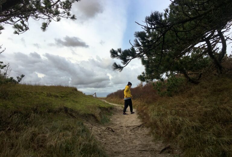 Zanderig bospad in duingebied met links en rechts naaldbomen. De wolken zijn mooie luchten aan het maken met vele verschillende kleuren grijs. Ook nog een vleugje blauw.