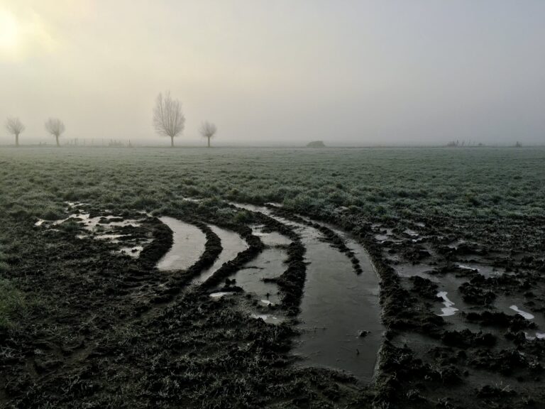 Weiland met rijp op het gras. De zon staat laag aan de hemel. Door de mist zie je een paar silhouetten van bomen