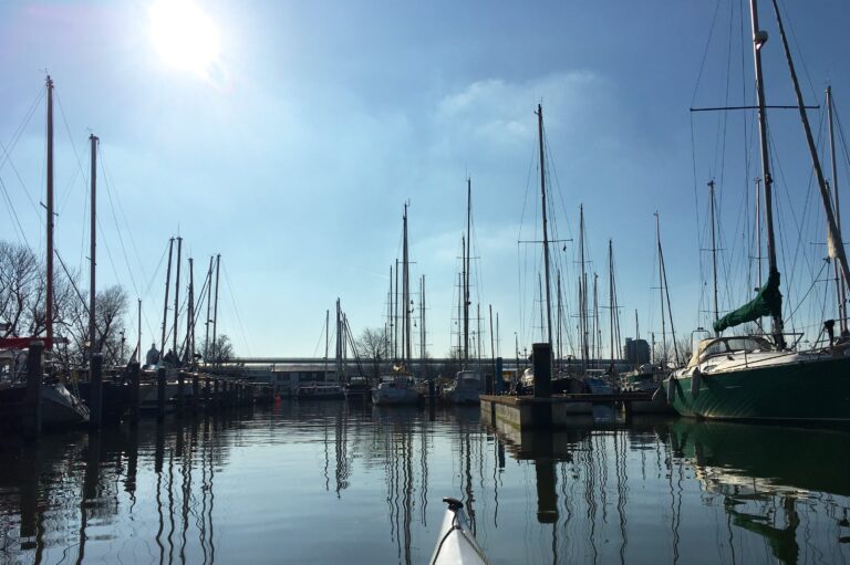 In een have met voornamelijk zeilboten. De masten steken mooi de zonovergoten blauwe lucht in.