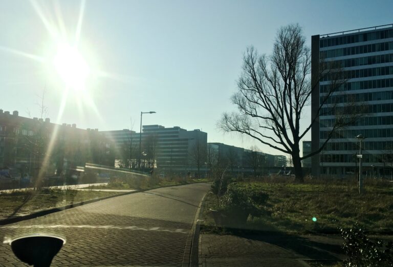 Uitzicht vanuit de auto op wat flatgebouwen links en rechts. Links voor het flatgebouw een klein parkje met een volwassen boom. De foto is donker omdat de zon fel aan de hemel staat te schijnen en ik daar tegenin fotografeerde.