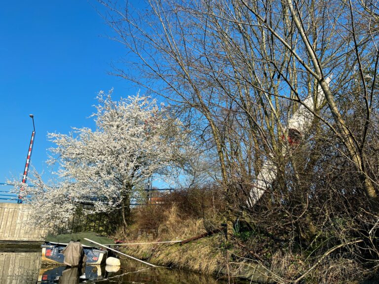 Foto van een kajak die diagonaal in de boom hangt. Daaachter een boom en bloei en een roerbootje op het water. De lucht is helder blauw en het water is kalm.