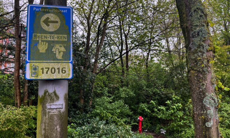 Een parkeerbord met mos en bomen met mos. en op de achtergrond bomen met struiken in blad en daar midden in een rode brandkraan.