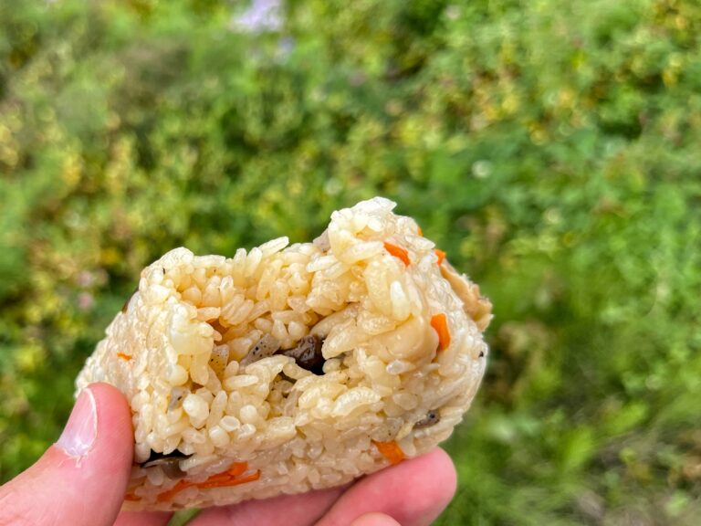 Rijstbal in de hand met een hap eruit op de achtergrond onscherp gras