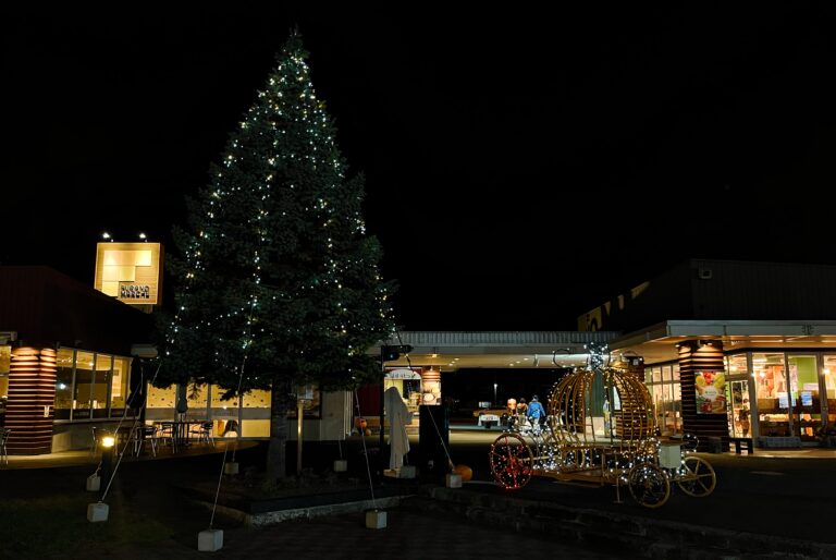 Een kerstboom met lichtjes en daarnaast een uit stalen buizen bestaande pompoenkoets ook volgehangen met licht. Op een binnenplaats van winkels.